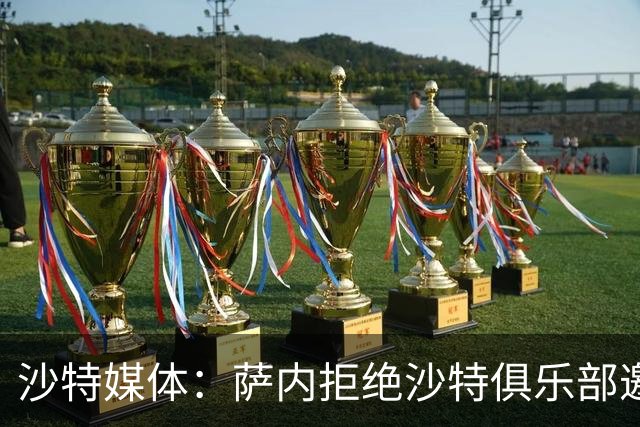 沙特媒体：萨内拒绝沙特俱乐部邀约，今夏留加拉塔萨雷